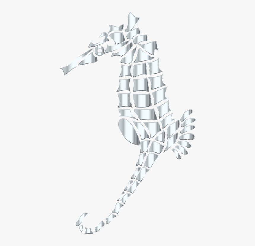 Seahorse, HD Png Download