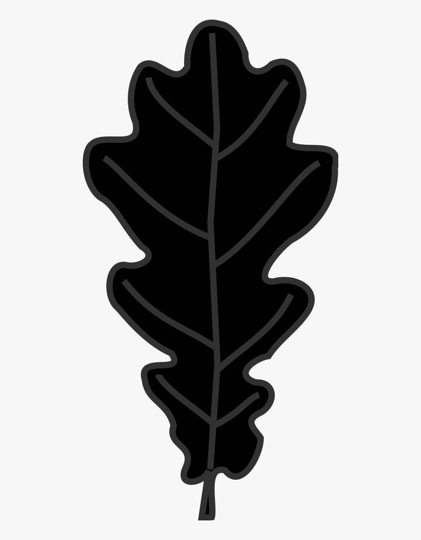 Leaf Clipart Oak Tree - Dessin Feuille De Chene Noir, HD Png Download