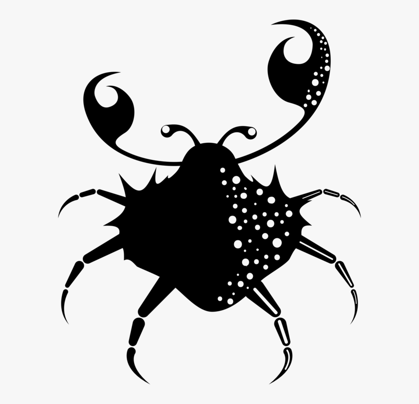 Seafood,line Art,head, HD Png Download