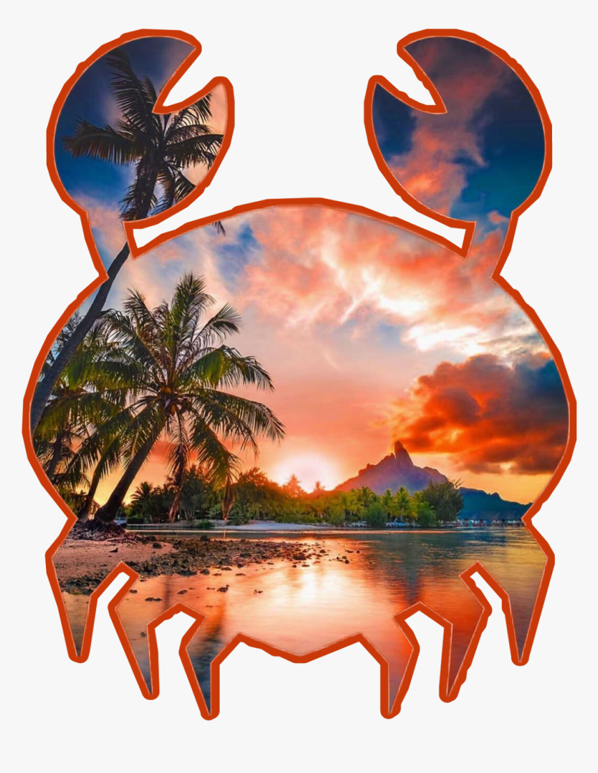 Oasis, HD Png Download