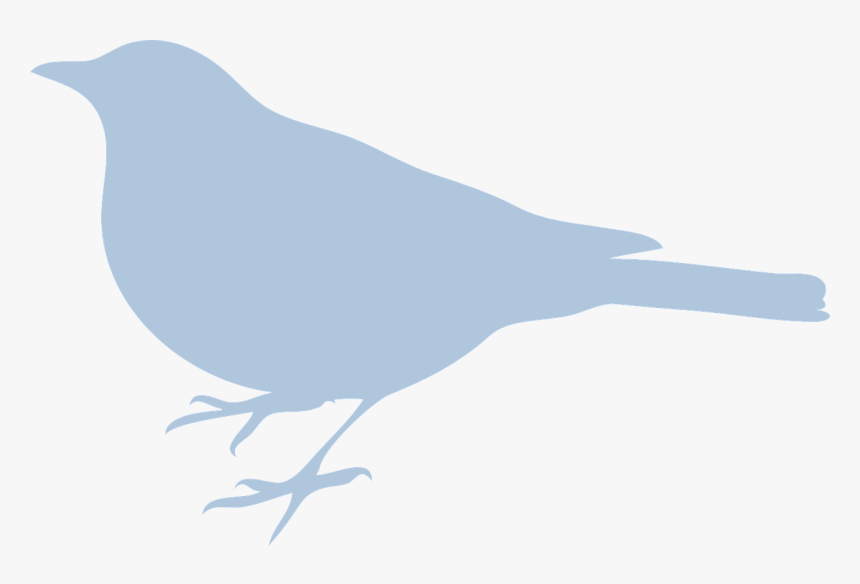 Bird Silhouette Clip Art, HD Png Download