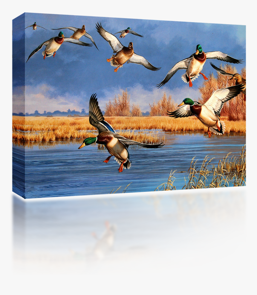 Ducks Unlimited, HD Png Download