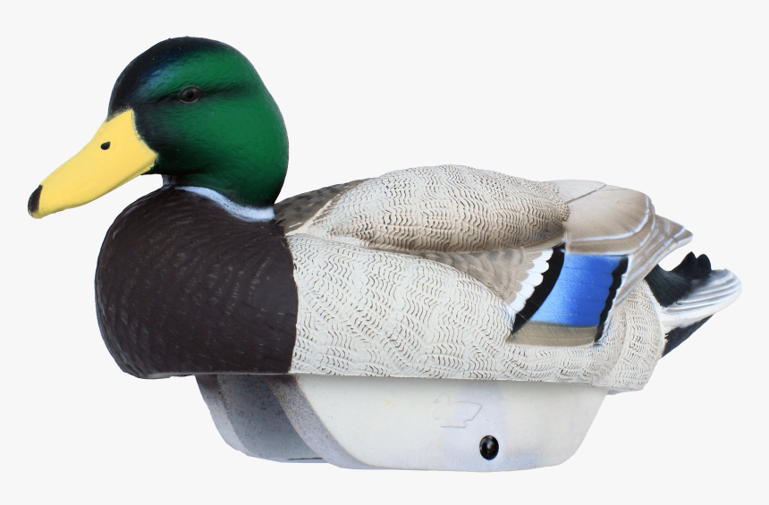 Lifetime Decoys Flex Float Mallards, HD Png Download