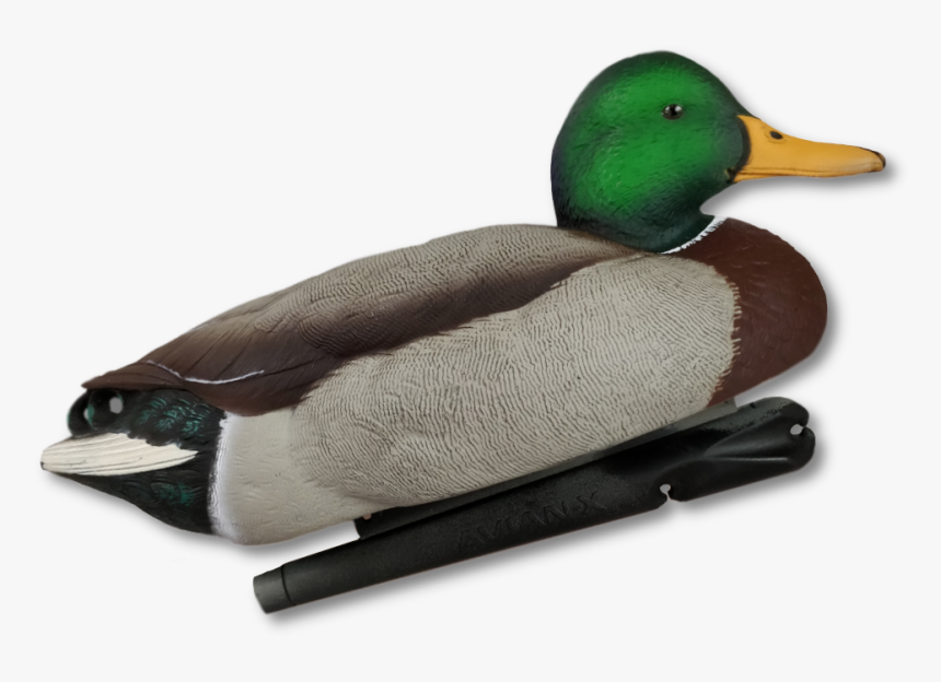 Image Of Avian X Foam Filled Topflight Fusion Mallard - Mallard, HD Png Download