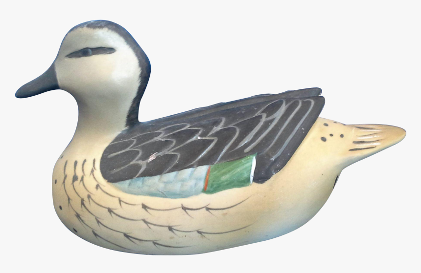 Blue Winged Teal, HD Png Download