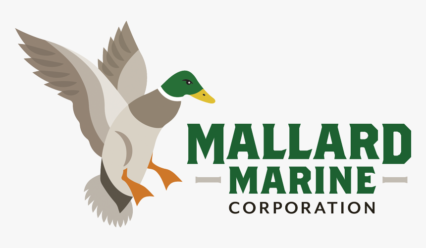 Mallard, HD Png Download