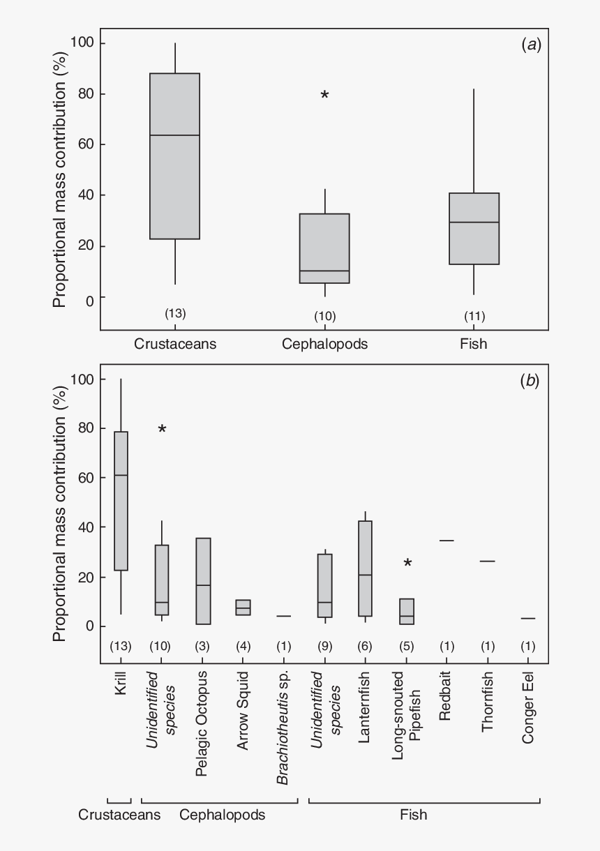 Diagram, HD Png Download