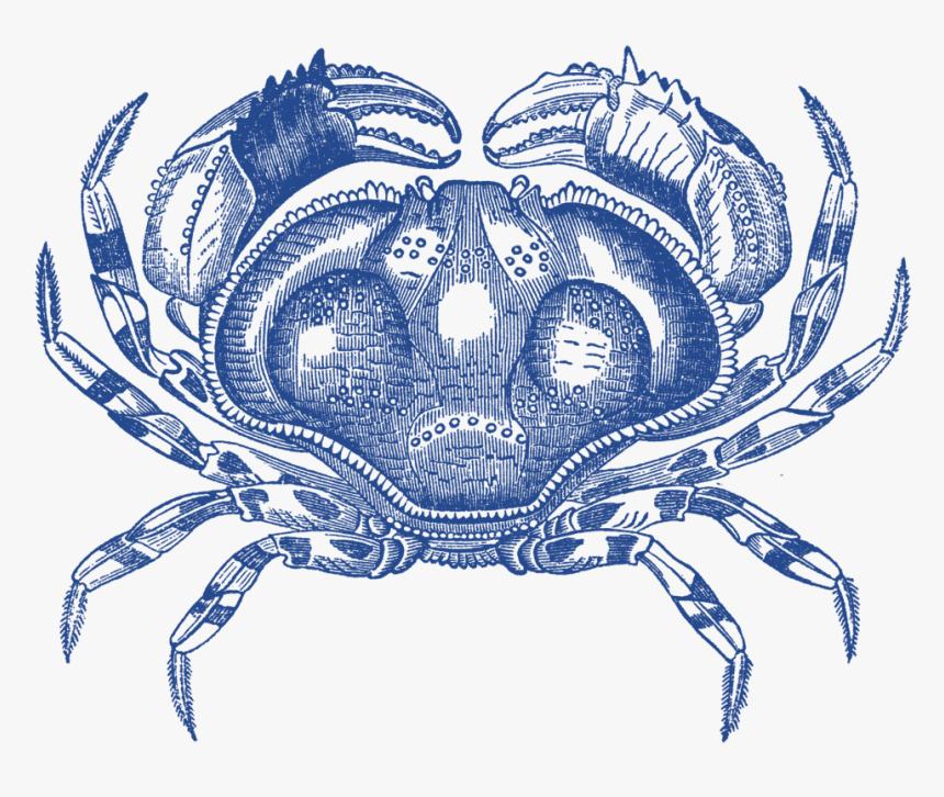 Sea Vintage Png, Transparent Png