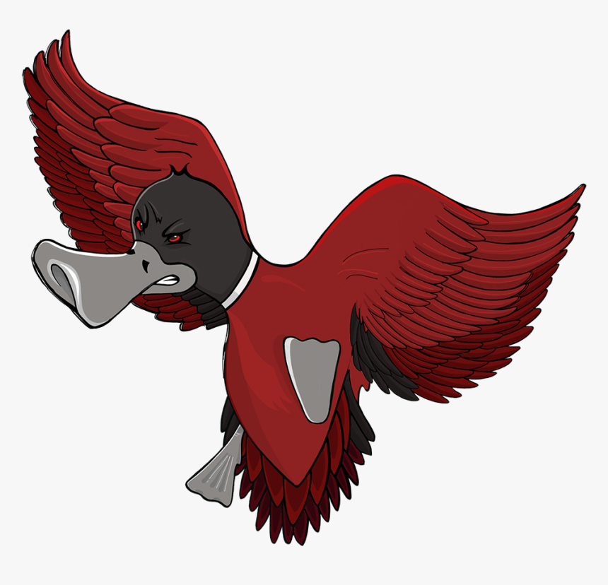 We Design Build Excite Flying Duck Clipart , Png Download - Bird Of Prey, Transparent Png