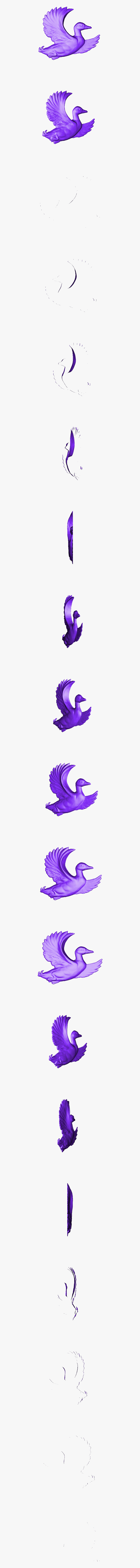 Duck, HD Png Download