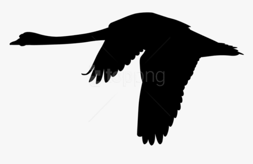 Free Png Flying Swan Silhouette Png Png - Flying Swan Clip Art, Transparent Png