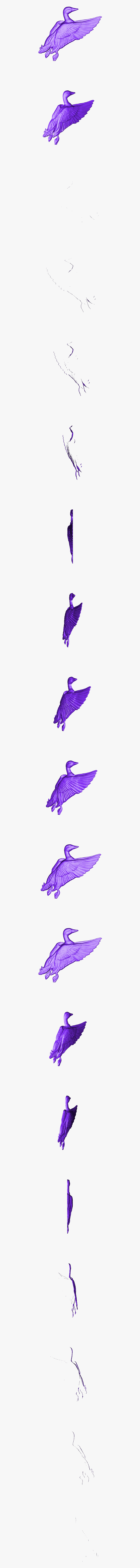 Waterfowl, HD Png Download