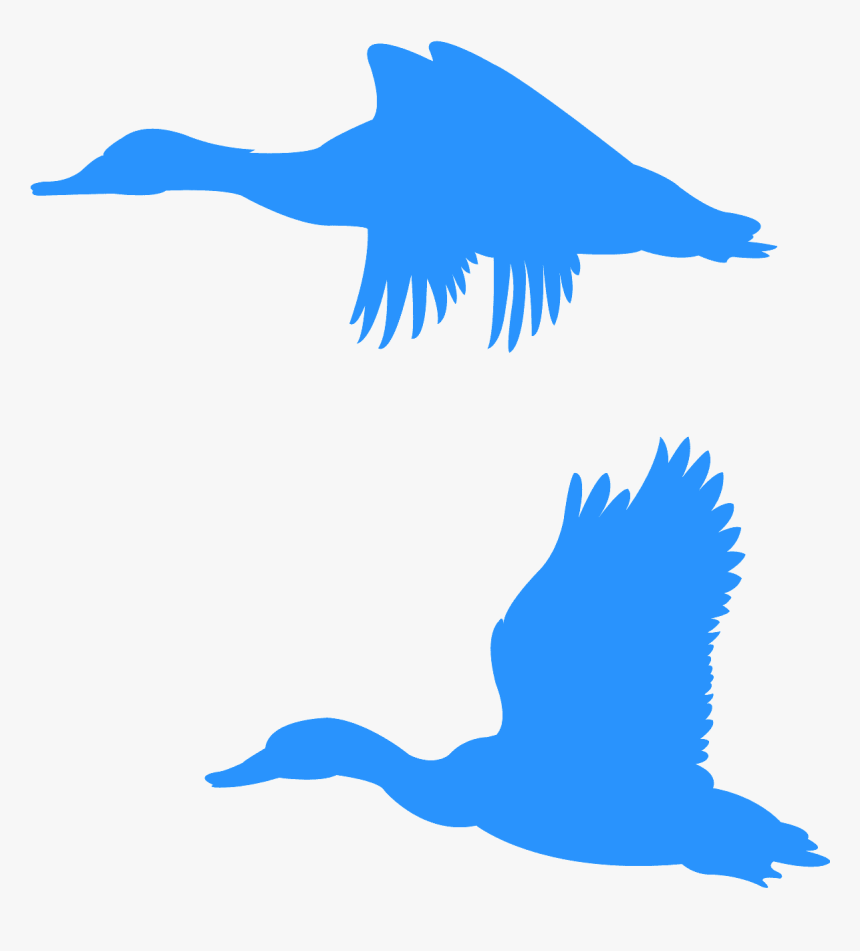 Orange Flying Duck Clipart, HD Png Download