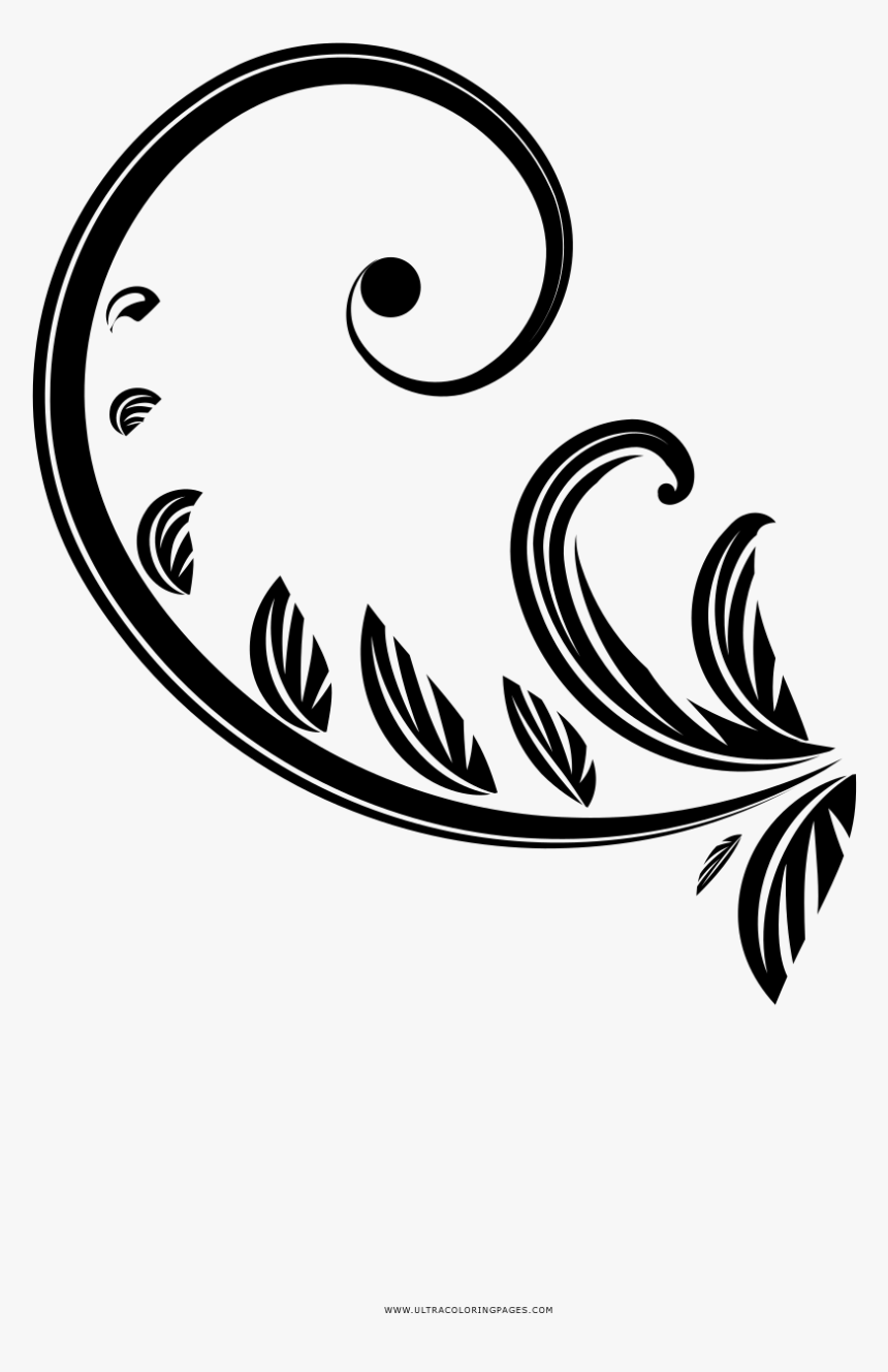 Vine Coloring Page, HD Png Download