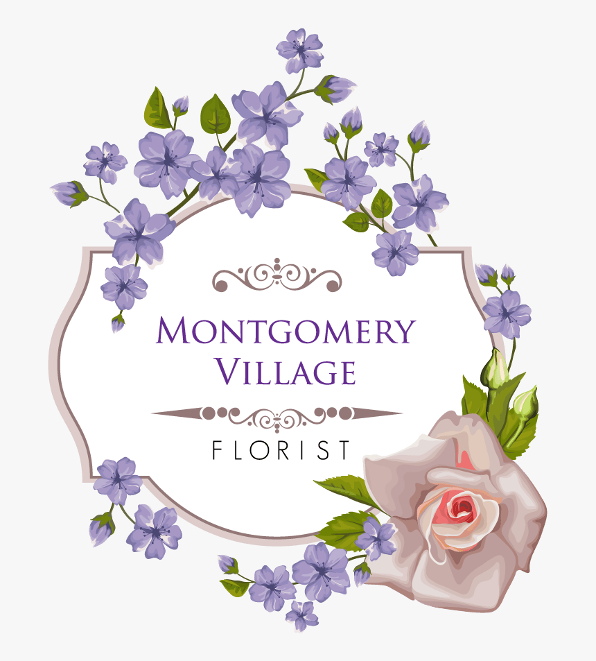Montgomery Village Florist Inc - Garden Roses, HD Png Download