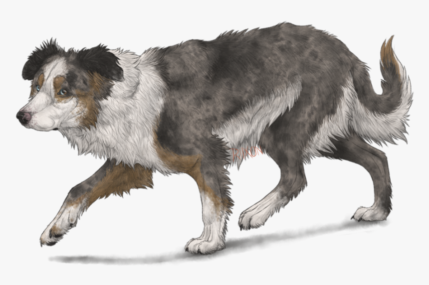 Border Collie By Riixon-d5uncwv - Blue Border Collie Clip Art, HD Png Download