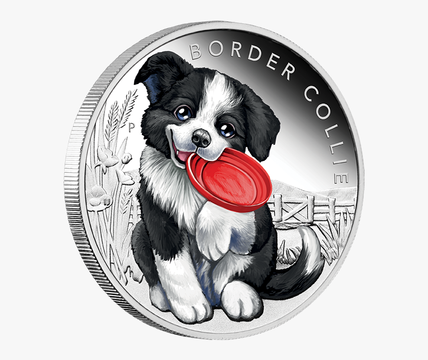 Transparent Border Collie Png - 臺 銀 寵物, Png Download