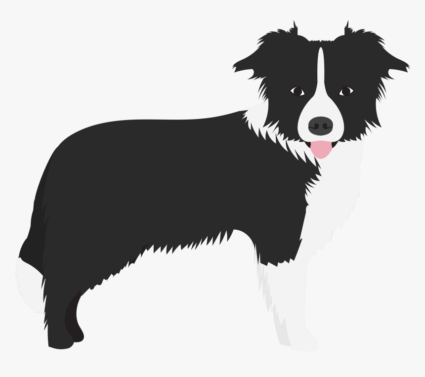 Border Collie, HD Png Download