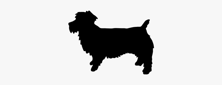 Border Collie Rough Collie Malinois Dog Belgian Shepherd - Cavalier King Charles Spaniel Vector Silhouette, HD Png Download