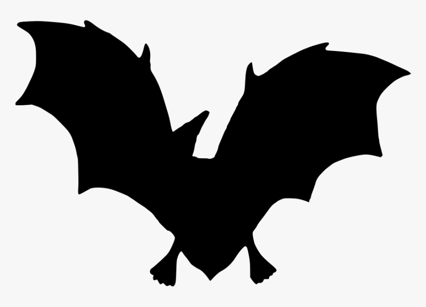 Bat, HD Png Download