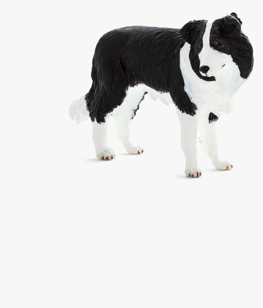 Chien Français Blanc Et Noir, HD Png Download