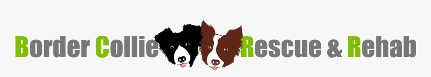 Dog Catches Something, HD Png Download