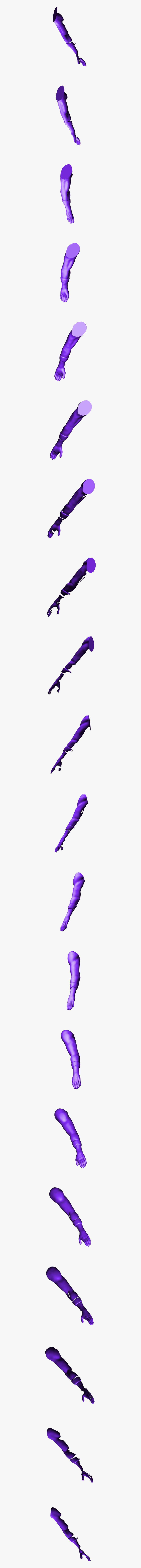 Clip Art, HD Png Download