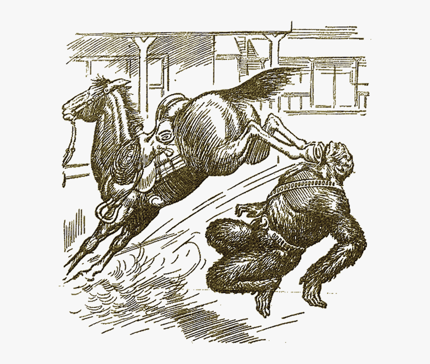 Illustration 
 Title Illustration - Illustration, HD Png Download