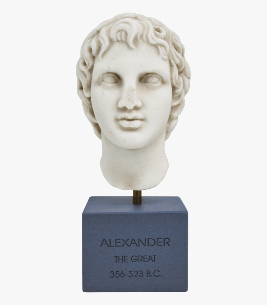 Bust, HD Png Download