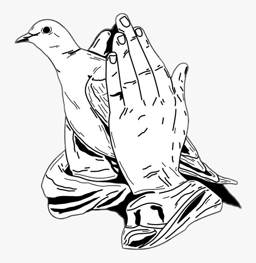 Transparent Worship Hands Png - Prayer Hands With Dove, Png Download