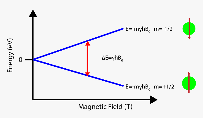 Zeeman Energy Level, HD Png Download