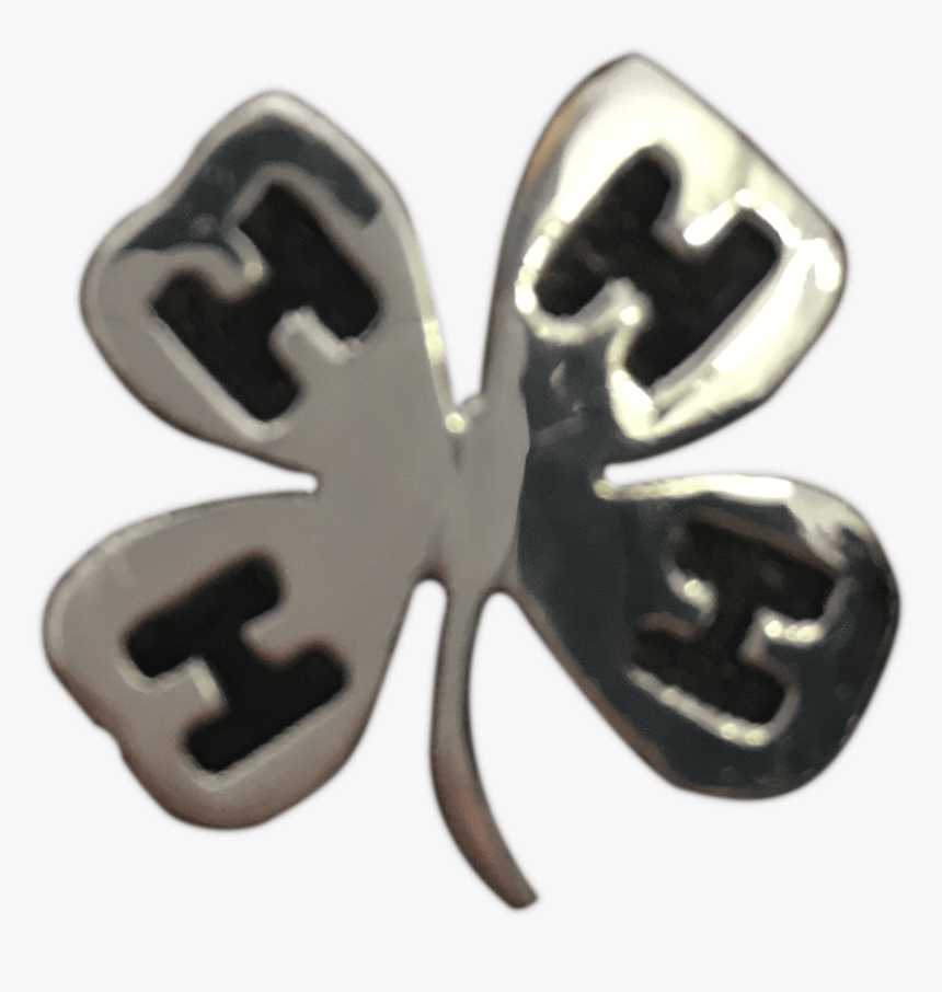 Insect, HD Png Download