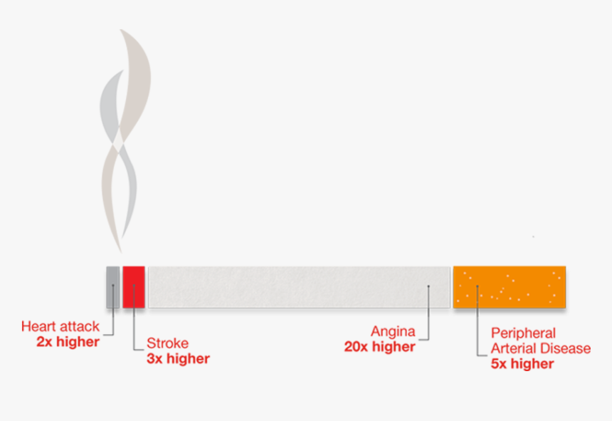Cigarette Infographic Showing Risks Of Smoking - Statistical Graphics, HD Png Download