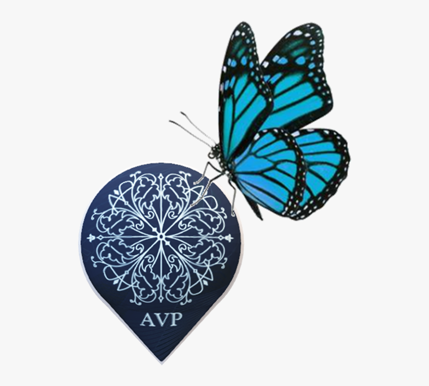 Blue Butterfly With White Background, HD Png Download
