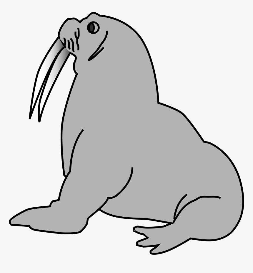 Clip Art Seal Clipart - Walross Clipart, HD Png Download