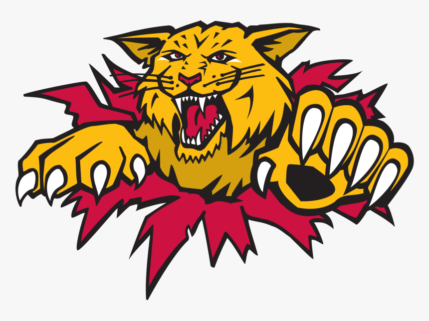 Moncton Wildcats Logo, HD Png Download