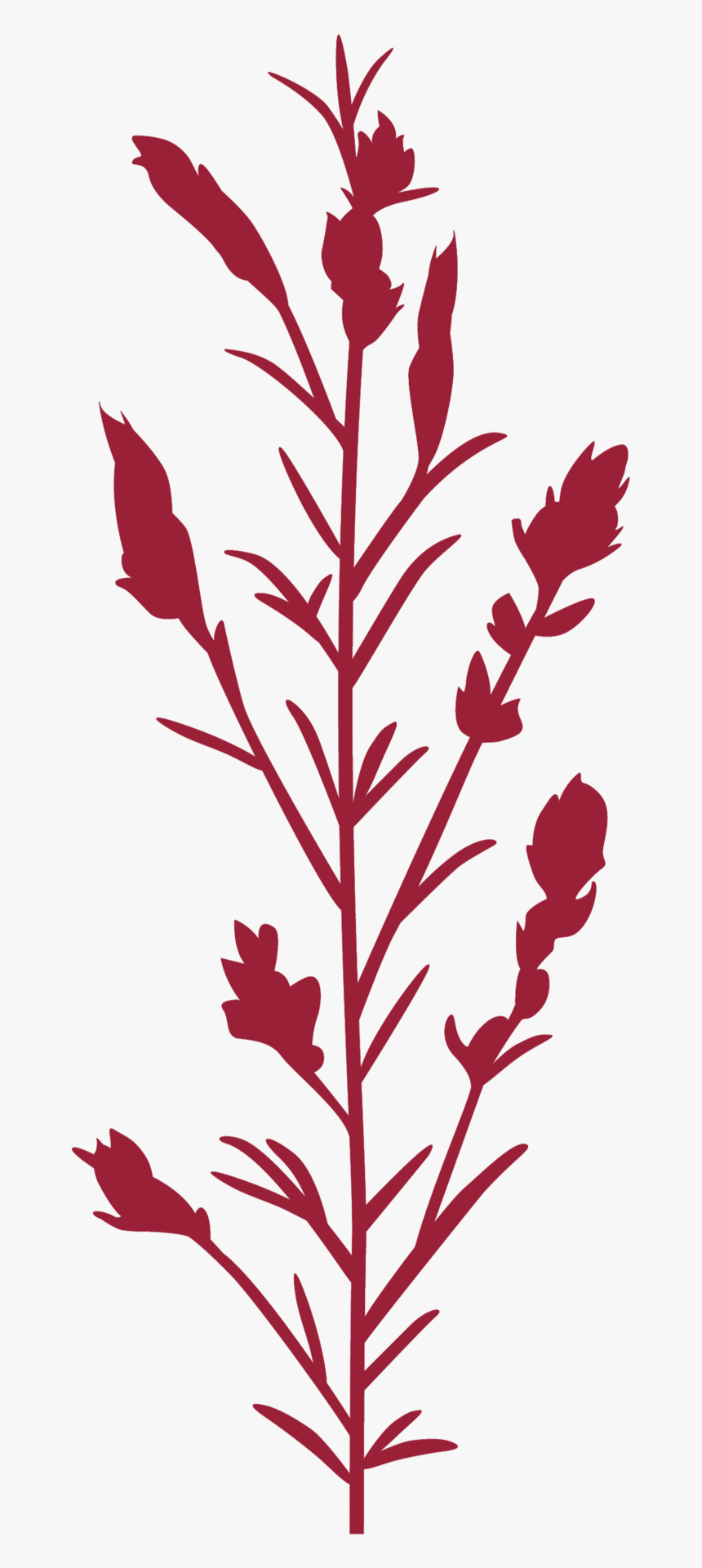 Clip Art, HD Png Download