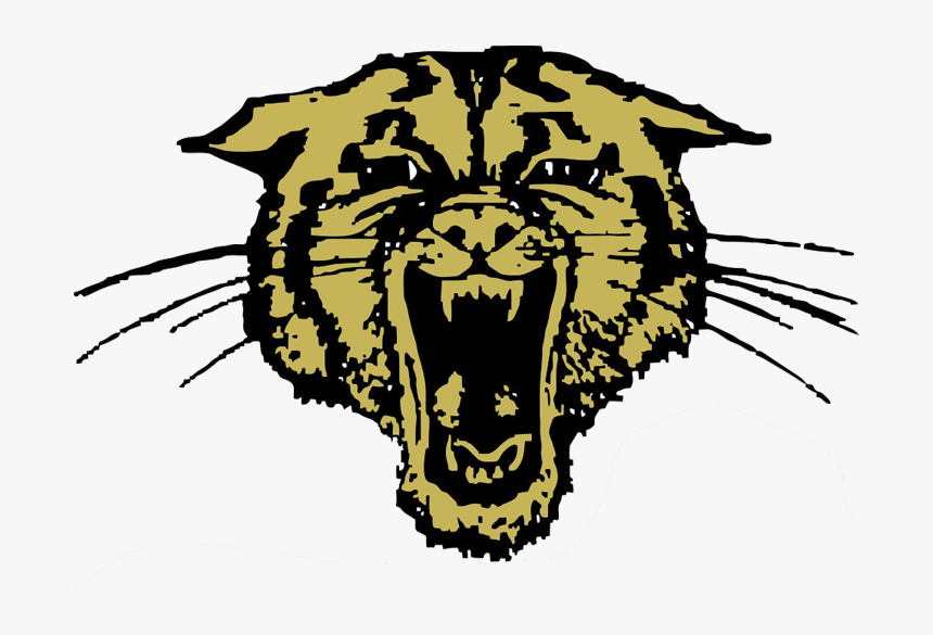Trumann Wildcats Clipart , Png Download - Bearcat Douglas Wyoming High School, Transparent Png