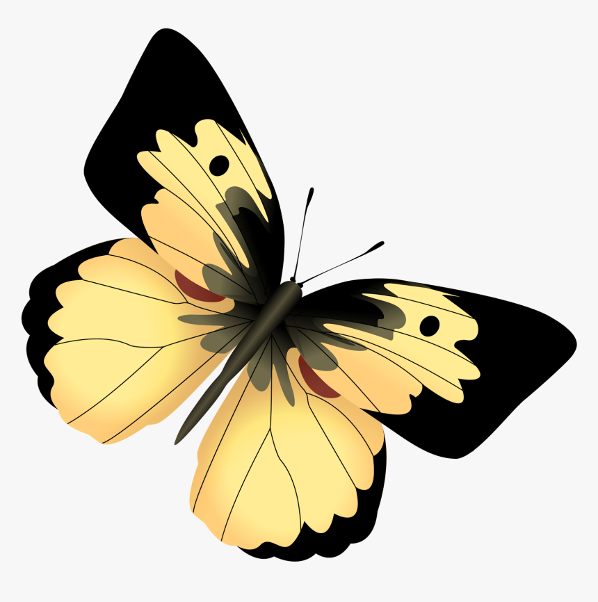 Clipart Butterfly Awareness - Yellow And Black Butterfly Png, Transparent Png