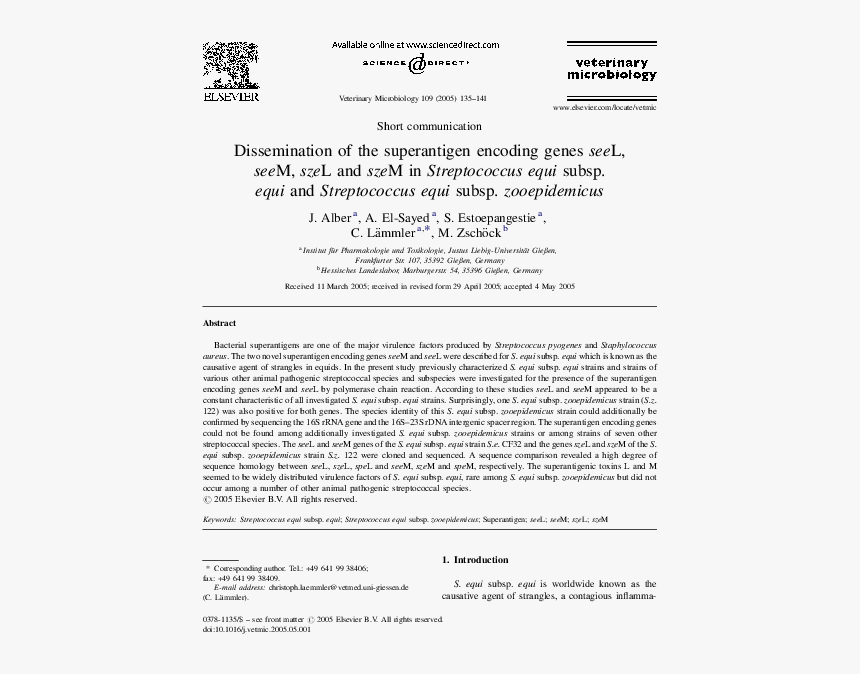 Document, HD Png Download