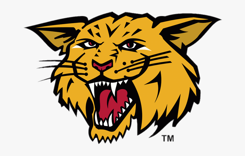 Moncton Wildcats Mascotte - Moncton Wildcats, HD Png Download