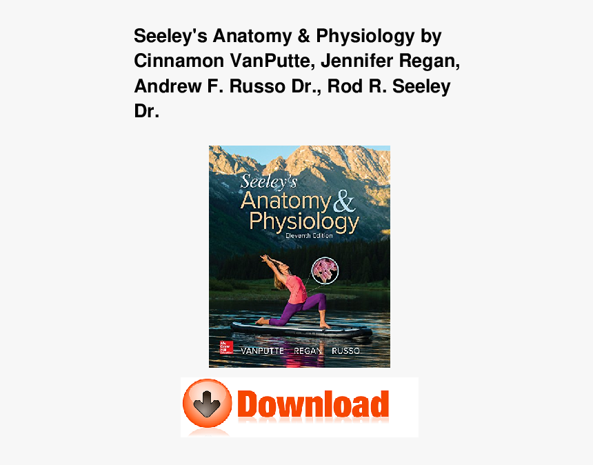 Flyer, HD Png Download