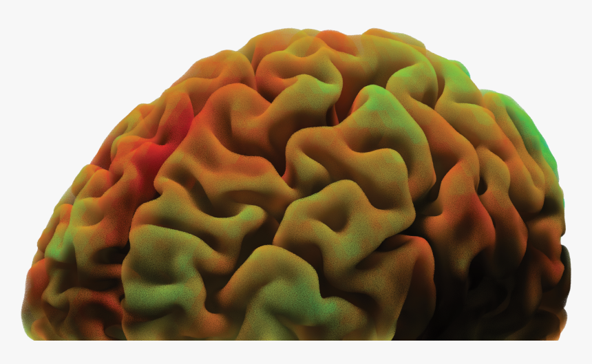 Rectangle - Macro Photography, HD Png Download