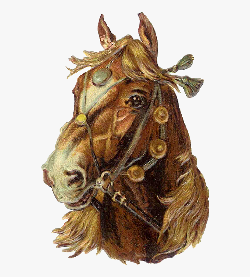 Transparent Horse - Horse Clip Art, HD Png Download