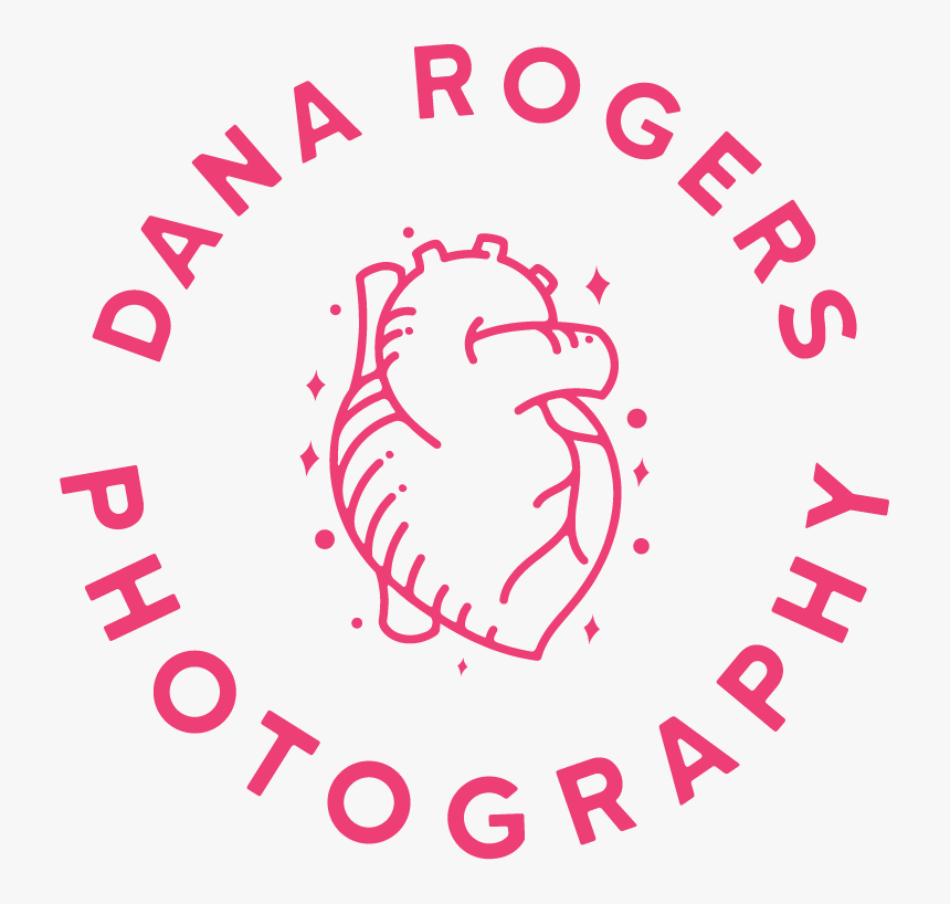 Dana Rogers Photography - Circle, HD Png Download
