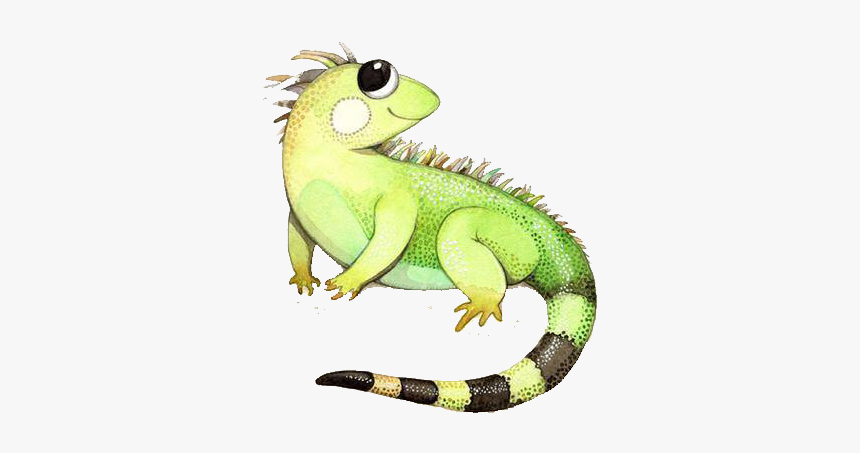 Cute Kangaroo Iguana Png - Iguana Watercolor, Transparent Png