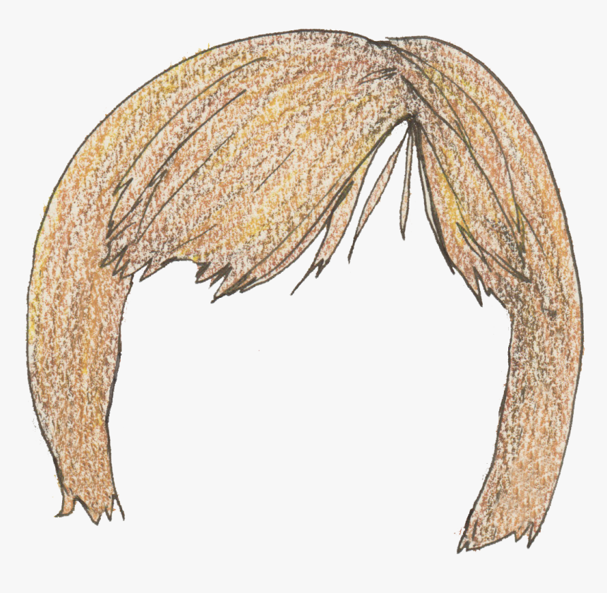 Insect, HD Png Download