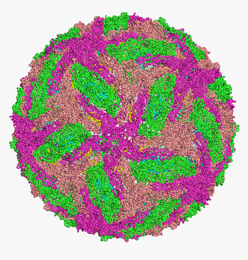 Image Depicting Dengue Virus - Representação Do Virus Da Dengue, HD Png Download