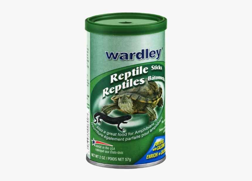 Reptile, HD Png Download