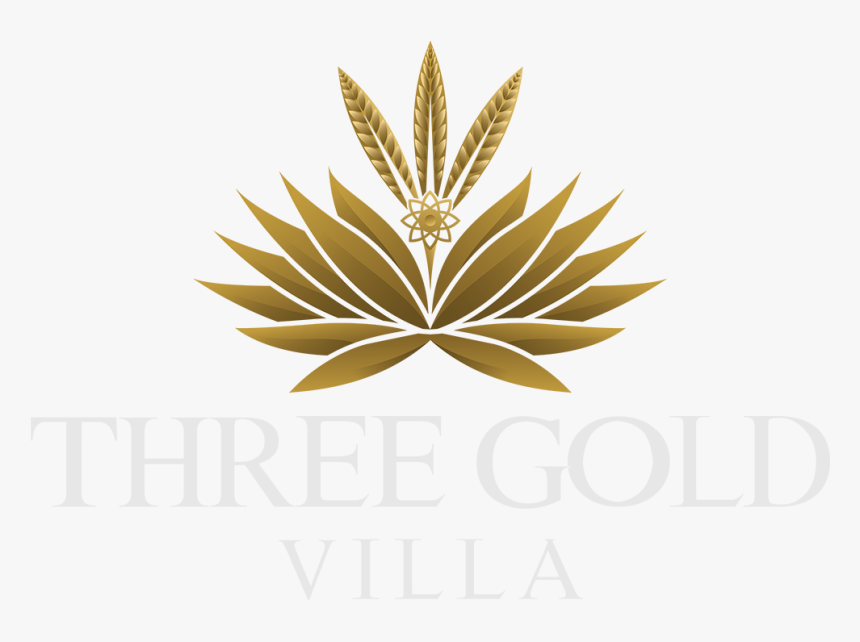 Three Gold Luxury Private Villa - Illustration, HD Png Download